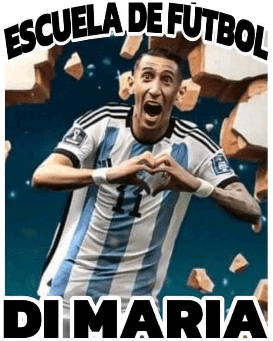 Logo de Dimaria