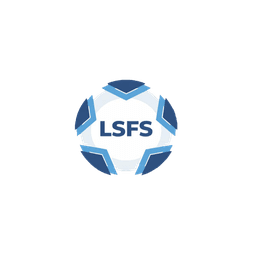 Logo Liga Sur